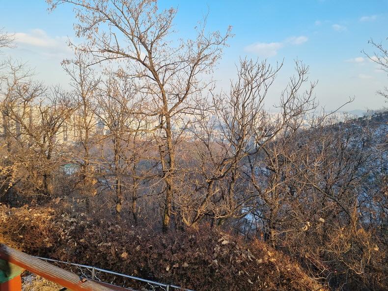 [크기변환]2안전한_새해맞이…_서구,_해맞이_장소에_안전대책운영본부_운영_(1).jpg 이미지